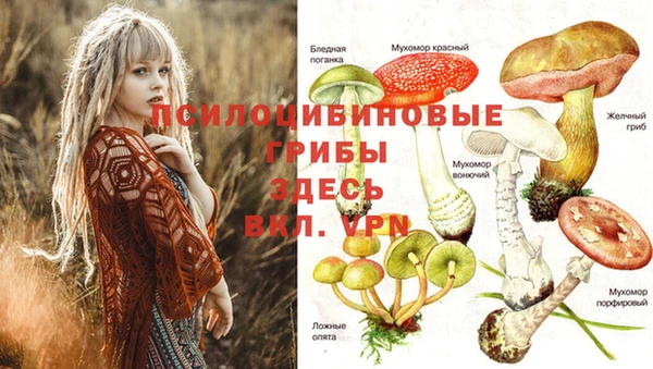 марихуана Алексеевка