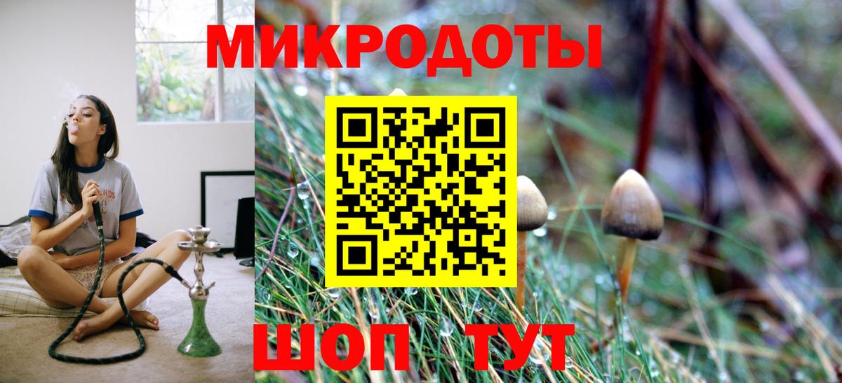 Тавда  Псилоцибиновые грибы MAGIC MUSHROOMS  Псилоцибиновые грибы мицелий  Вход с VPN 
