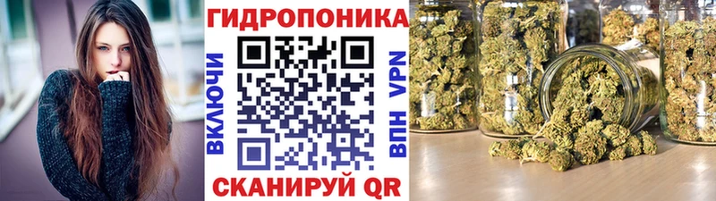 где можно купить наркотик  Тавда  МАРИХУАНА LSD WEED 
